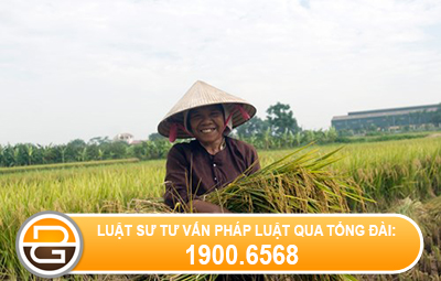 Can-cu-tinh-thue-thu-nhap-ca-nhan