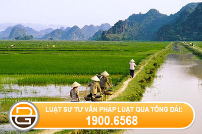 Co-duoc-phep-xay-dung-tren-dat-ruong
