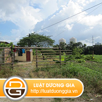 Co-phai-tra-lai-tien-duoc-boi-thuong-ve-dat-dai.