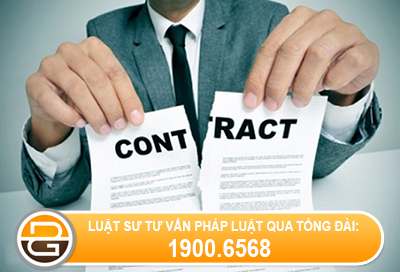 Don-phuong-cham-dut-hop-dong-lao-dong