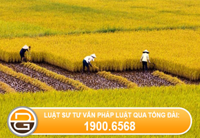 Giay-to-chuyen-nhuong-quyen-sdd-khong-co-cong-chung