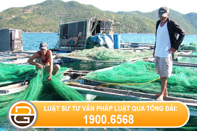 Han-muc-giao-thue-mat-nuoc-bien-de-nuoi-trong-thuy-san