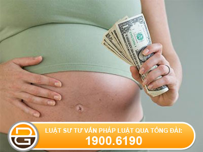 Ho-so-de-nghi-thuc-hien-ky-thuat-mang-thai-ho-vi-muc-dich-nhan-dao