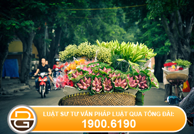 Hoi-ve-van-de-nhap-ho-khau-vao-thanh-pho-ha-noi