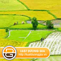 Tranh chấp đất đai thuộc thẩm quyền của Tòa án cấp huyện