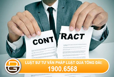 Truong-hop-khong-phai-boi-thuong-chi-phi-dao-tao1.jpg