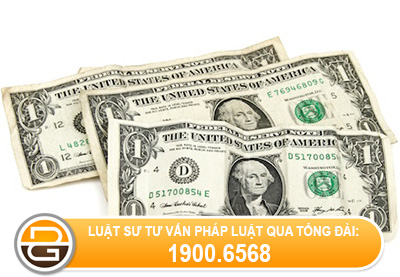 Tu-van-ve-viec-dua-tien-tu-nuoc-ngoai-ve-VN.jpg