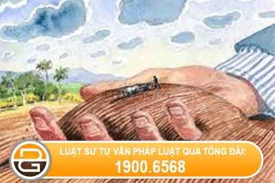 Xay-mong-nha-sang-dat-nha-hang-xom-co-phai-boi-thuong-khong.gif
