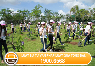 Xu-phat-hanh-vi-do-chat-thai-nguy-hai-khong-dung-quy-dinh.jpg