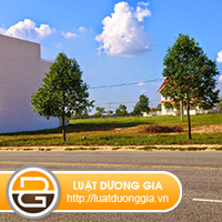 ban-dat-khong-co-su-dong-y-cua-dong-so-huu-co-duoc-khong-