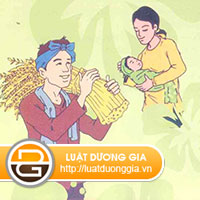 binh-dang-gioi-trong-gia-dinh