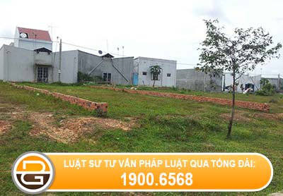 bo-ban-dat-co-can-su-dong-y-cua-cac-con-khong