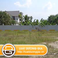 bo-ban-dat-co-can-su-dong-y-cua-cac-con-khong