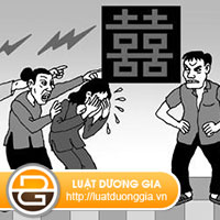 bo-me-co-quyen-yeu-cau-con-ly-hon-khong