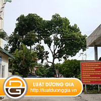 boi-thuong-dat-nam-trong-du-an