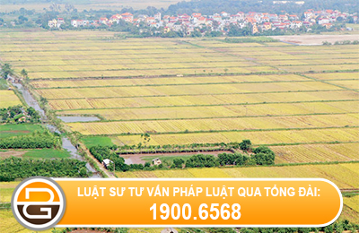 cac-nguyen-tac-su-dung-dat-duoc-dieu-chinh-boi-luat-dat-dai-nam-2013.gif