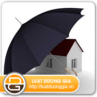 Căn cứ bồi thường cho bên mua bảo hiểm