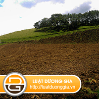cap-giay-chung-nhan-dang-ky-di-vat-co-vat-bao-vat-quoc-gia