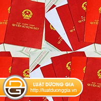cap-so-do-cho-dat-khong-giay-to-mua-nam-2009.jpg