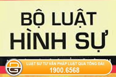 cau-truc-cua-bo-luat-hinh-su-sua-doi1