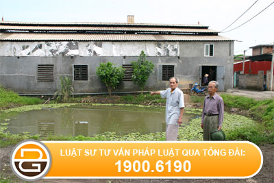 Chuyển đất trồng lúa thành ao nuôi cá không xin phép