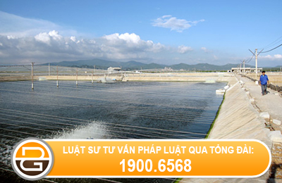 chuyen-muc-dich-su-dung-tu-dat-nuoi-trong-thuy-san-sang-dat-o1