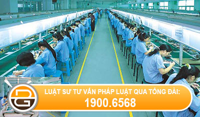cong-ty-cham-luong-03-thang-bi-xu-phat-the-nao.jpg