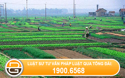 dien-tich-dat-thuc-te-chenh-lech-so-voi-so-do-2