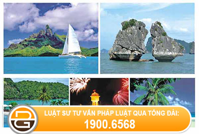 doi-giay-phep-lai-xe-cho-khach-du-lich-nuoc-ngoai
