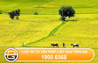 doi-tuong-duoc-huong-ho-tro-dao-tao-chuyen-doi-nghe