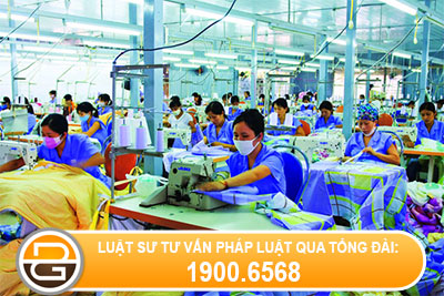 don-phuong-cham-dut-hop-dong-dao-tao