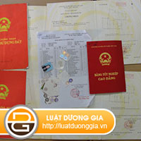 gia-mao-hop-dong-lao-dong-trong-dau-thau