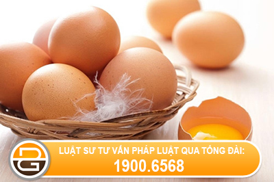 giao-dich-dan-su-vo-hieu-trong-truong-hop-nao-
