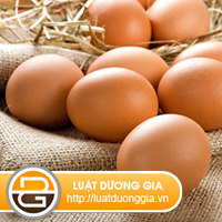 giao-dich-dan-su-vo-hieu-trong-truong-hop-nao-
