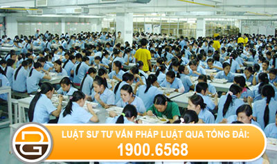 giao-ket-hop-dong-lao-dong-voi-nhieu-cong-ty