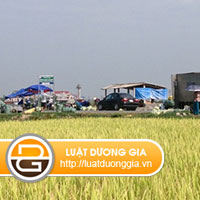 hoi-ve-van-de-boi-thuong-dat-nong-nghiep