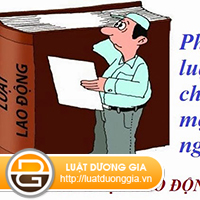 hop-dong-lao-dong-can-phai-soan-thao-noi-dung-gi