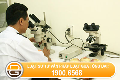 kiem-tra-khi-co-dich-benh-o-viet-nam