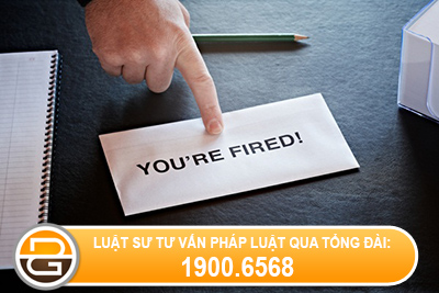 luat-su-tu-van-noi-quy-lao-dong-trong-cong-ty