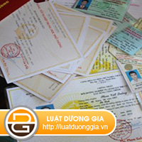 luat-su-tu-van-ve-hanh-vi-lam-gia-con-dau-giay-to-tai-lieu