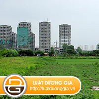 luat-su-tu-van-ve-tranh-chap-dat-dai