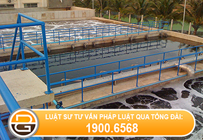 luat-su-tu-van-ve-viec-bi-sai-thong-tin-trong-bao-cao-DTM