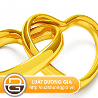 luat-su-tu-van-ve-xu-ly-hanh-vi-bao-luc-gia-dinh