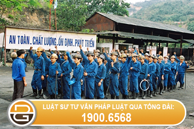luat-su-tu-van-ve-xu-ly-ky-luat-doi-voi-nguoi-lao-dong