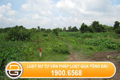 mua-ban-dat-5%-co-can-lap-van-ban-co-cong-chung-chung-thuc-khong