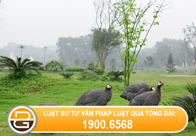 mua-ban-dat-bang-giay-viet-tay%281%29