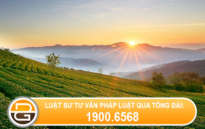 mua-ban-dat-dai-viet-tay-nam-2005-lam-the-nao-de-lam-thu-tuc-chuyen-nhuong