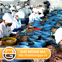 muc-luong-huong-khi-lam-viec-ngay-nghi-le
