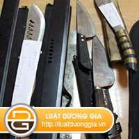 muc-xu-phat-hanh-vi-gay-thuong-tich-duoi-11-%282%29