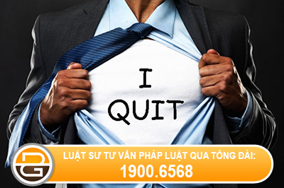 nghi-viec-vi-cong-ty-no-luong-khong-tra-co-trai-phap-luat-khong(1).jpg